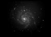 M101-L-SN.jpg (776523 byte)