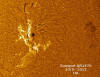Sunspot1476_12-05-13_14-00-29HA.jpg (167989 byte)