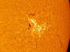 Sunspot_120508_105052.jpg (117940 byte)